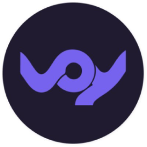 Fintech Startups in Estonia - Crypto - Voy Finance